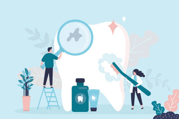 Best Preventive Dentistry  in Snow Hill, NC